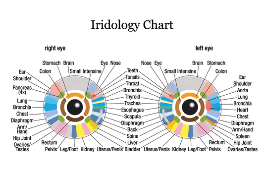 Looking Deep into the Eyes: The Fascinating World of Iridology
