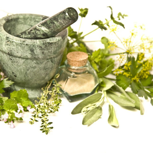 Detox EGUIDE and Herbal Protocol