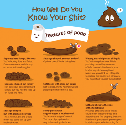 Let's Talk Poop