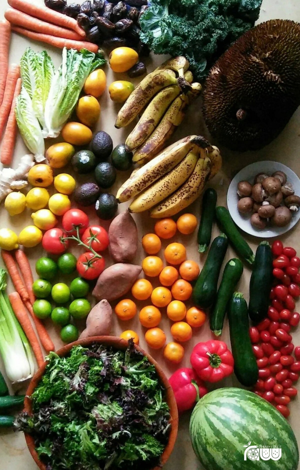 21-Day Winter Reset