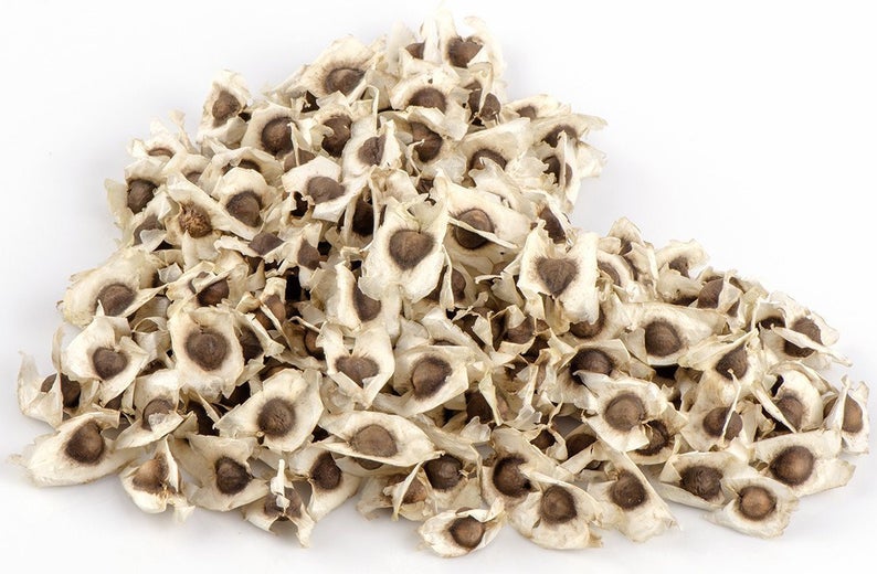 Moringa Seeds Organic